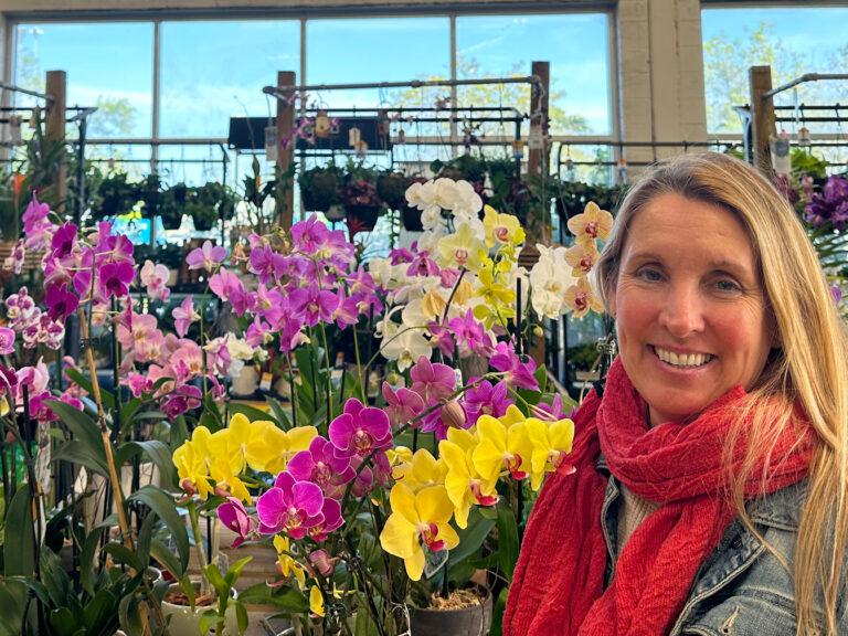 Growing Orchids in Water: Why It’s Popular and Whether You Should Try It!